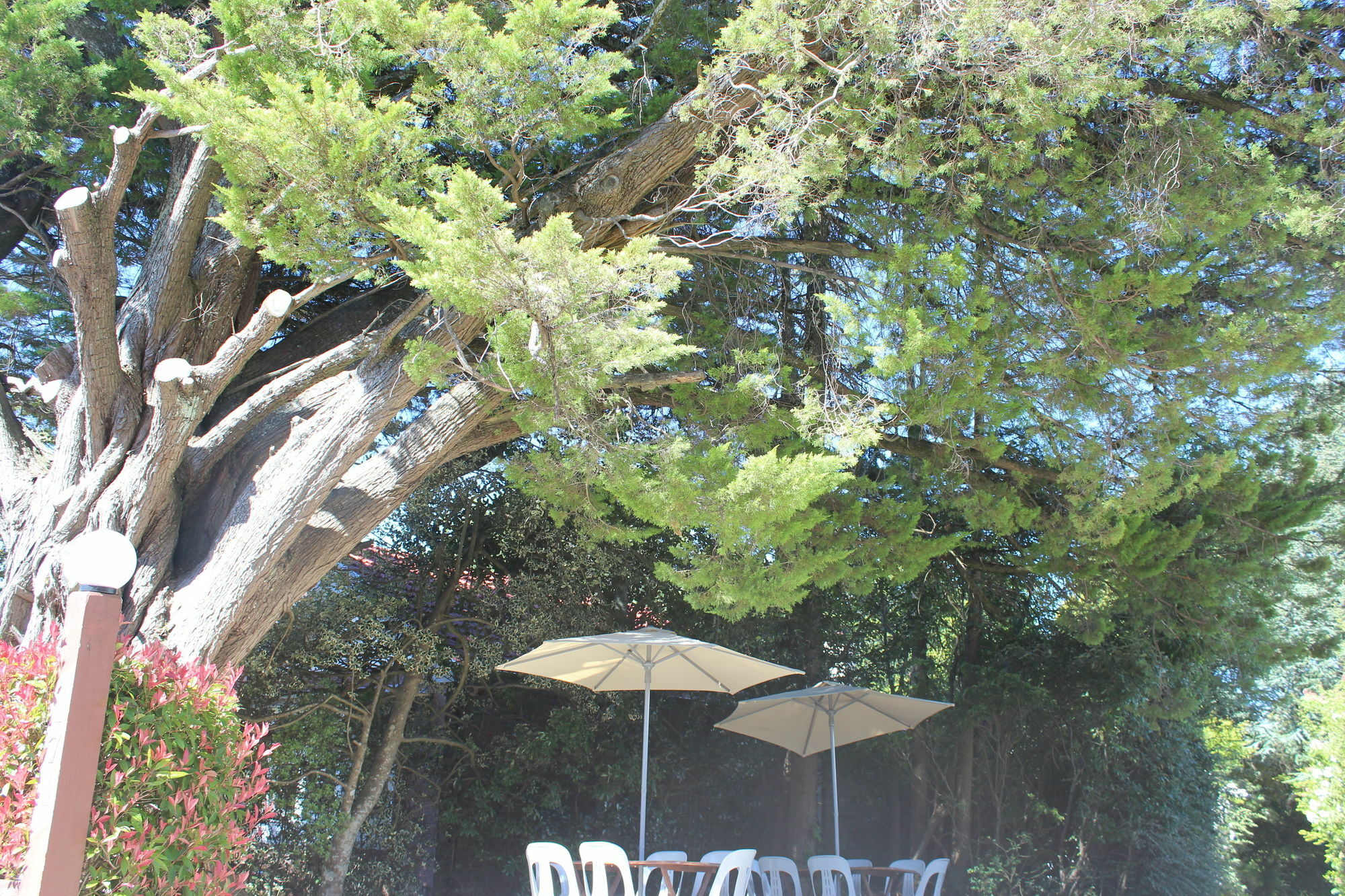 Hotel Avonleigh Katoomba Εξωτερικό φωτογραφία